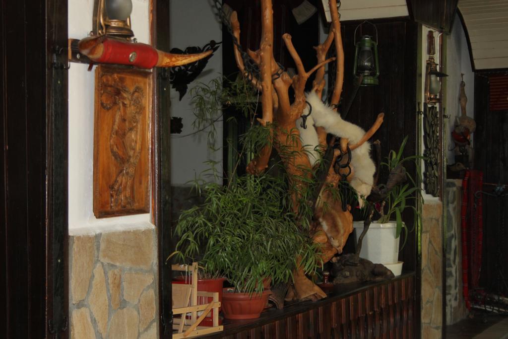 ساندانسكي Guest House Chinarite المظهر الخارجي الصورة